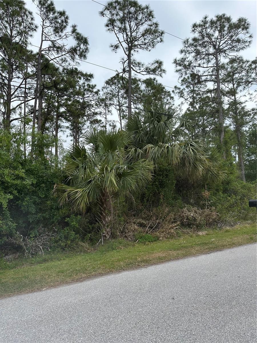 DOOLING ST, NORTH PORT, FL, 34291