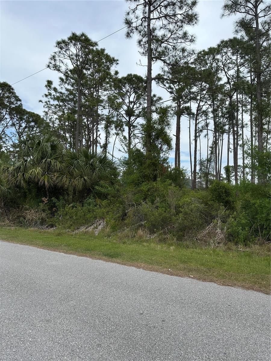 DOOLING ST, NORTH PORT, FL, 34291