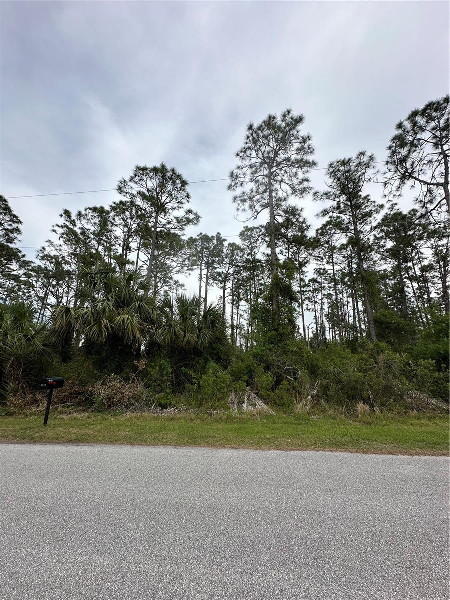 DOOLING ST, NORTH PORT, FL, 34291