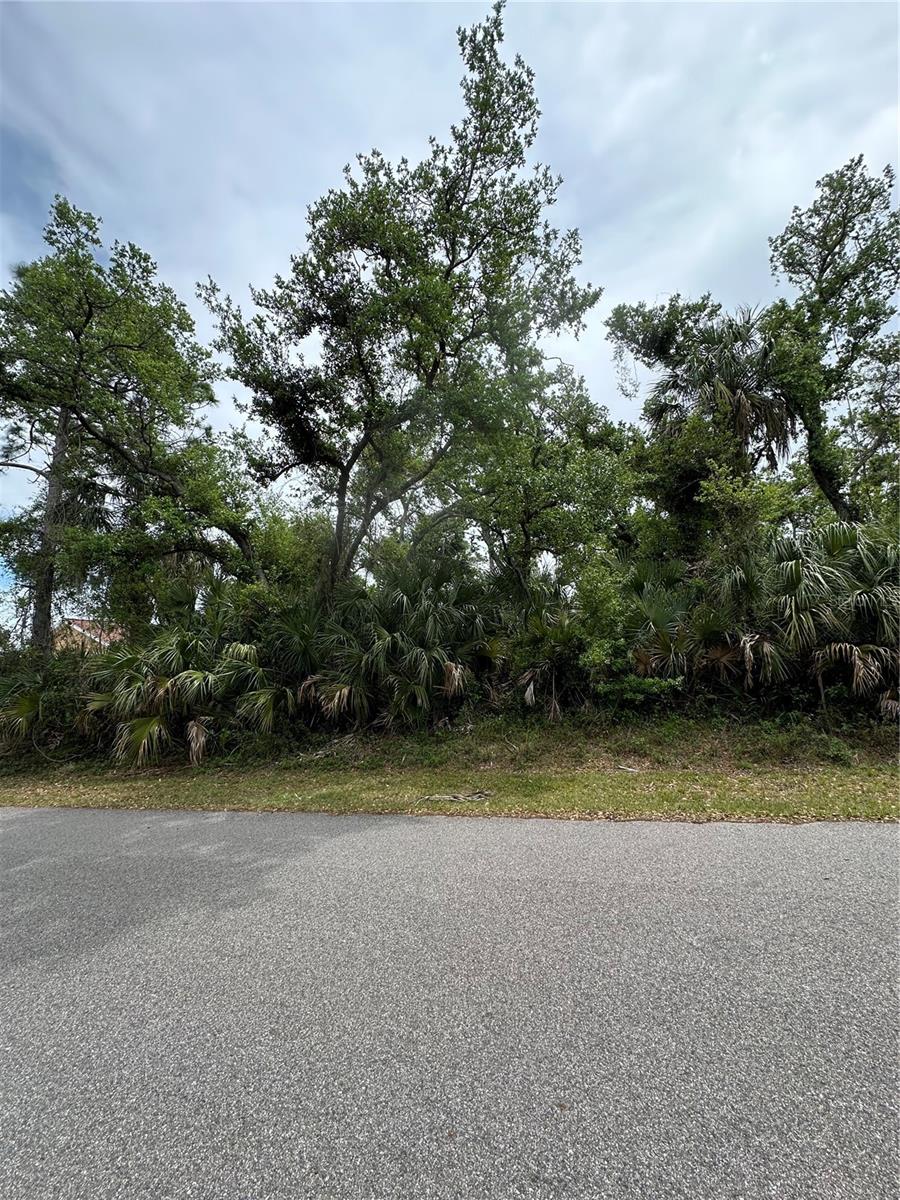SAN LUIS TER, NORTH PORT, FL, 34286