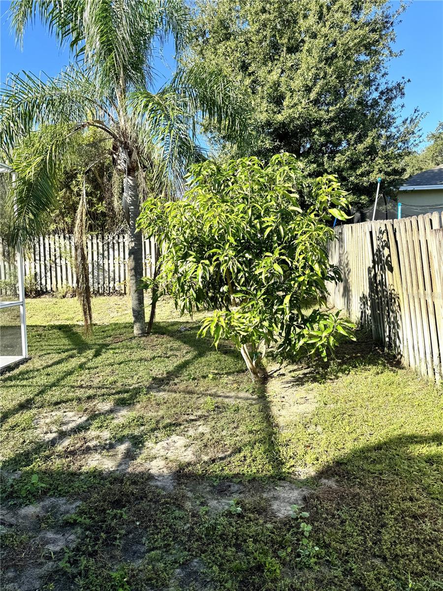 6047 CHARLOMA DR, LAKELAND, FL, 33812