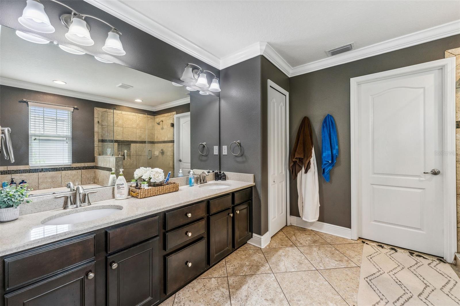 16906 DORMAN RD, LITHIA, FL, 33547