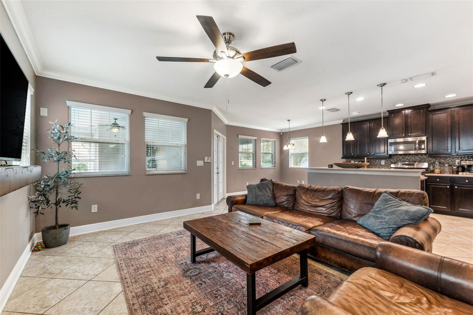 16906 DORMAN RD, LITHIA, FL, 33547