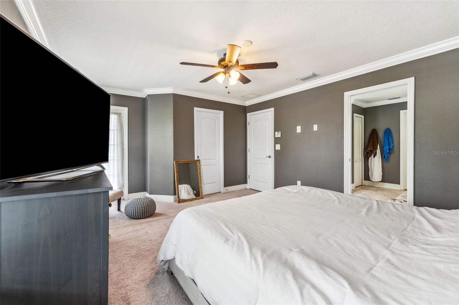 16906 DORMAN RD, LITHIA, FL, 33547