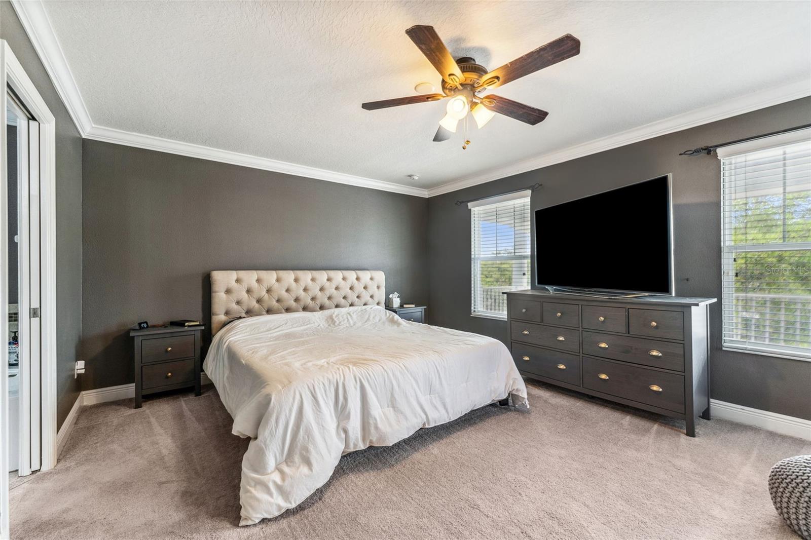 16906 DORMAN RD, LITHIA, FL, 33547