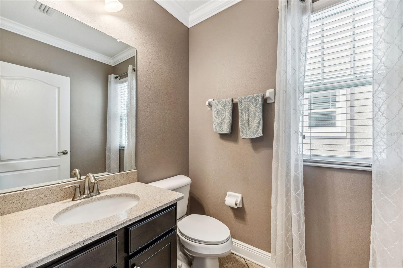 16906 DORMAN RD, LITHIA, FL, 33547