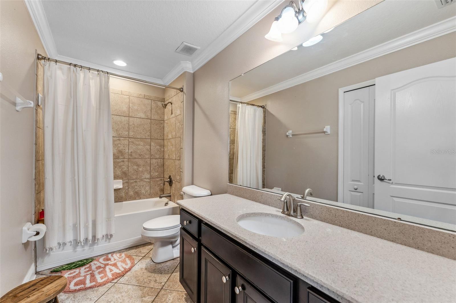 16906 DORMAN RD, LITHIA, FL, 33547