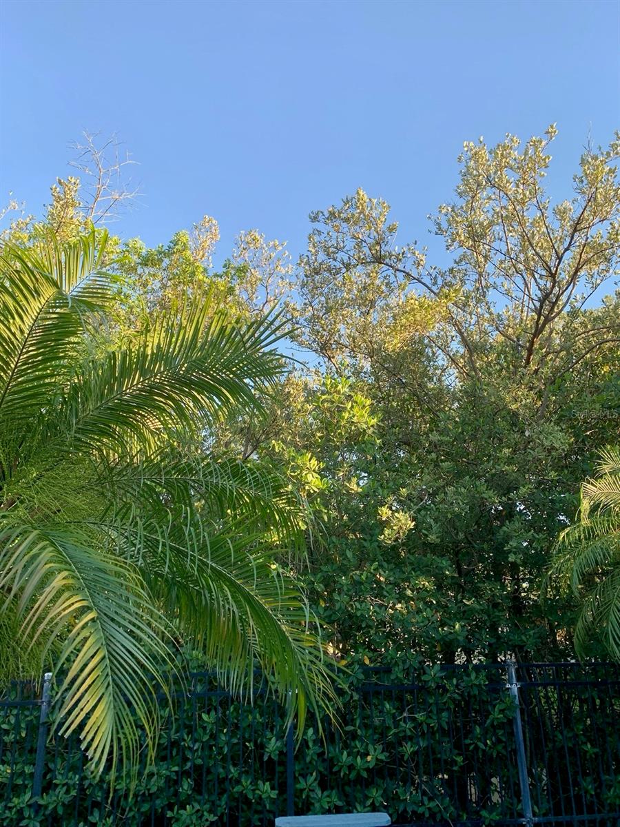 2107 S WEST SHORE BLVD, TAMPA, FL, 33629