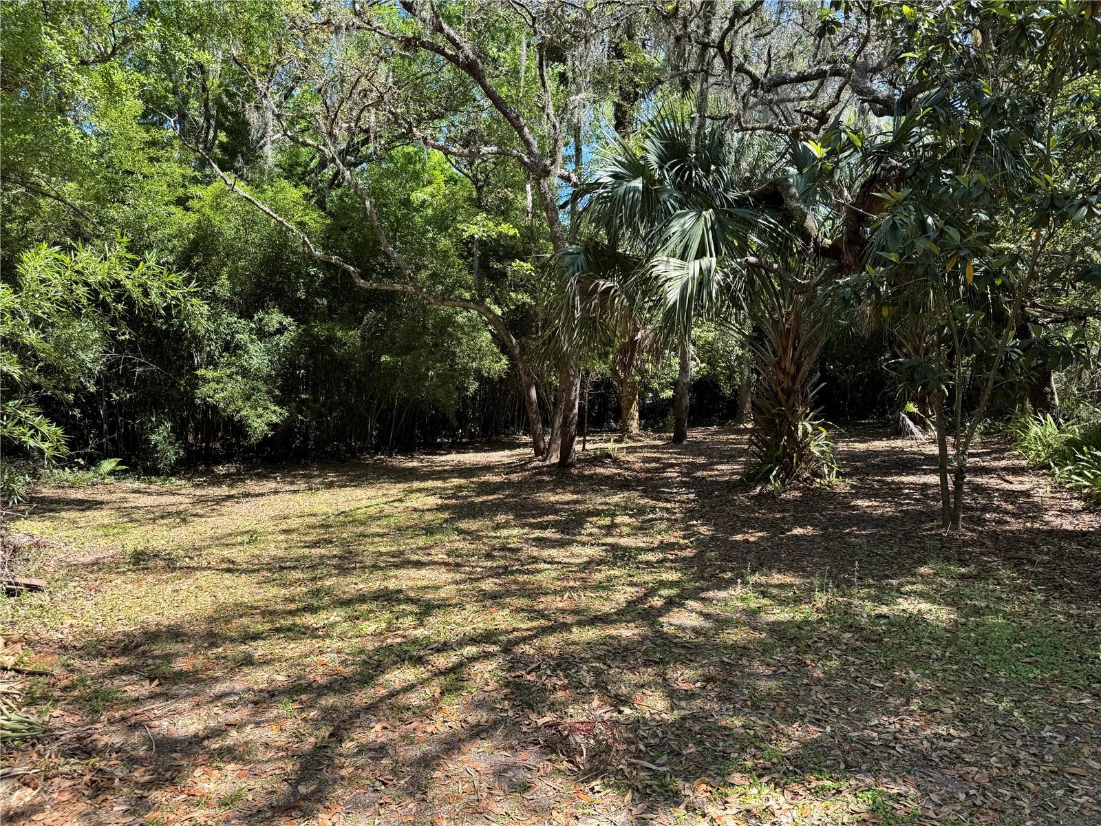 16235 SUNFLOWER TRL, ORLANDO, FL, 32828