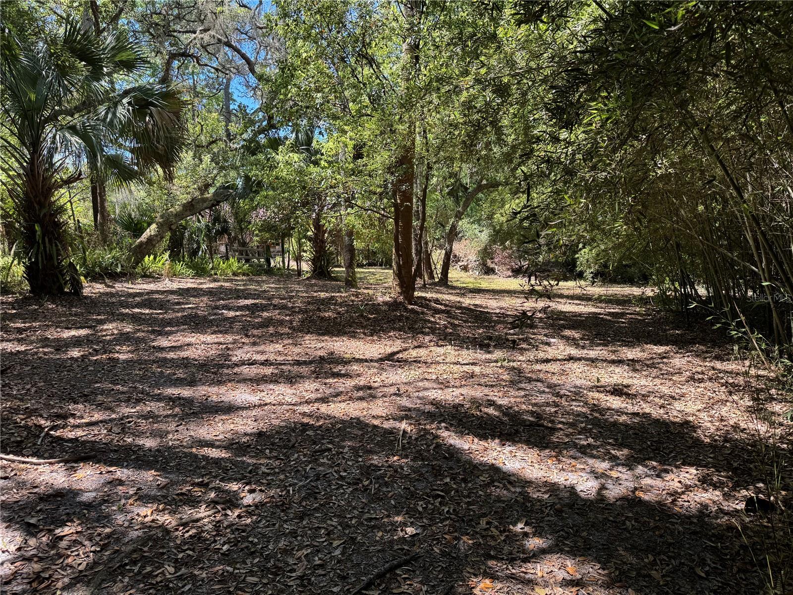 16235 SUNFLOWER TRL, ORLANDO, FL, 32828