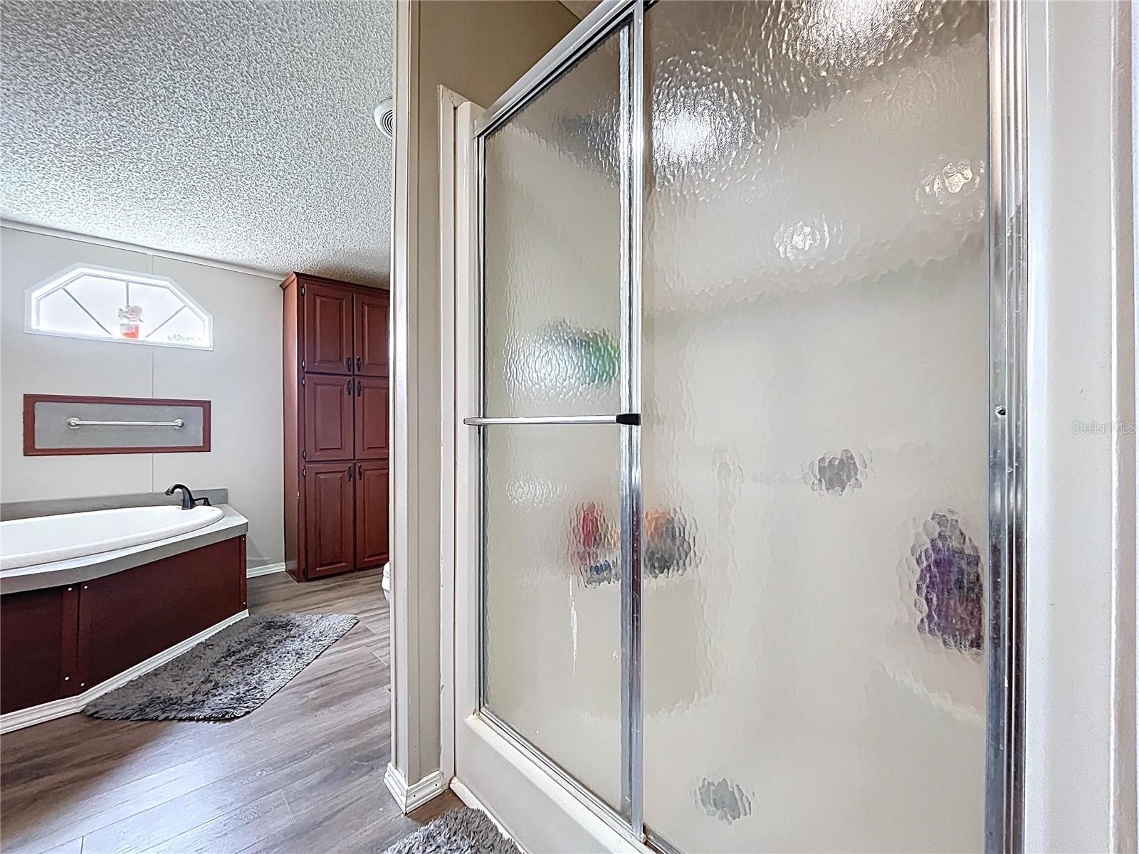 6825 DOVE MEADOW TRL, LAKELAND, FL, 33810