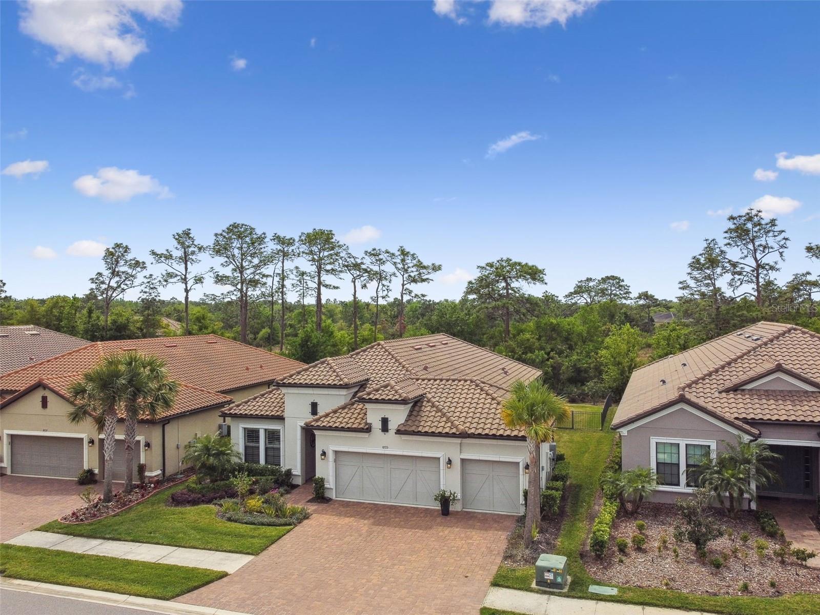 8725 SORANO VILLA DR, TAMPA, FL, 33647