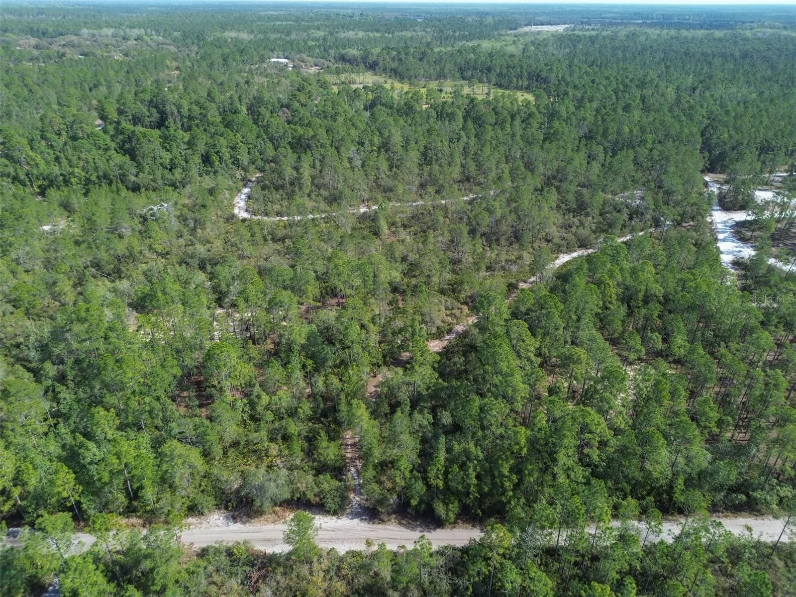 905 STILL RD, PIERSON, FL, 32180