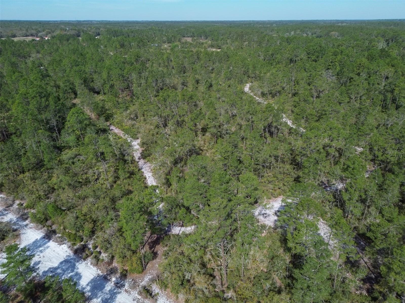 905 STILL RD, PIERSON, FL, 32180