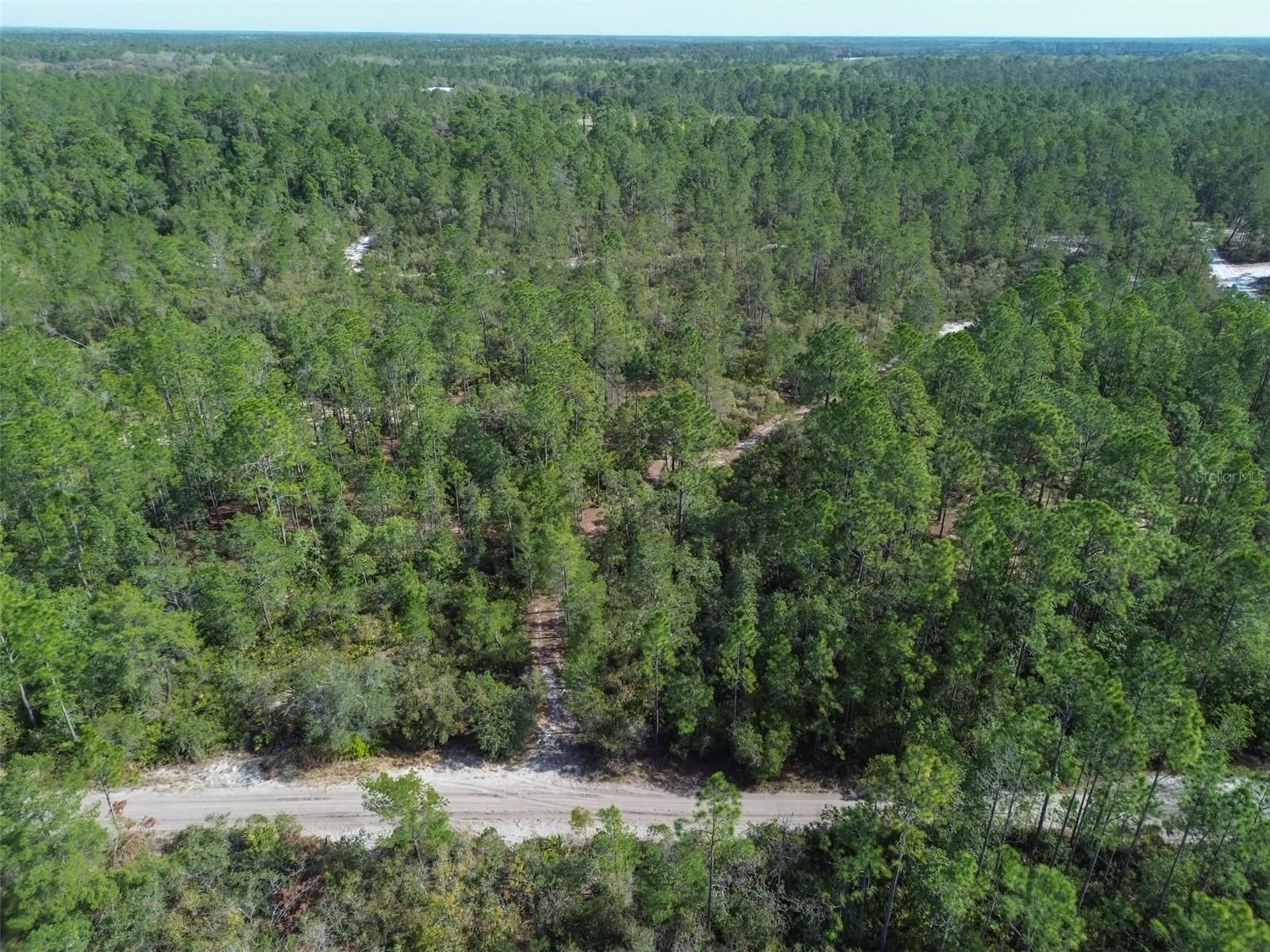 905 STILL RD, PIERSON, FL, 32180