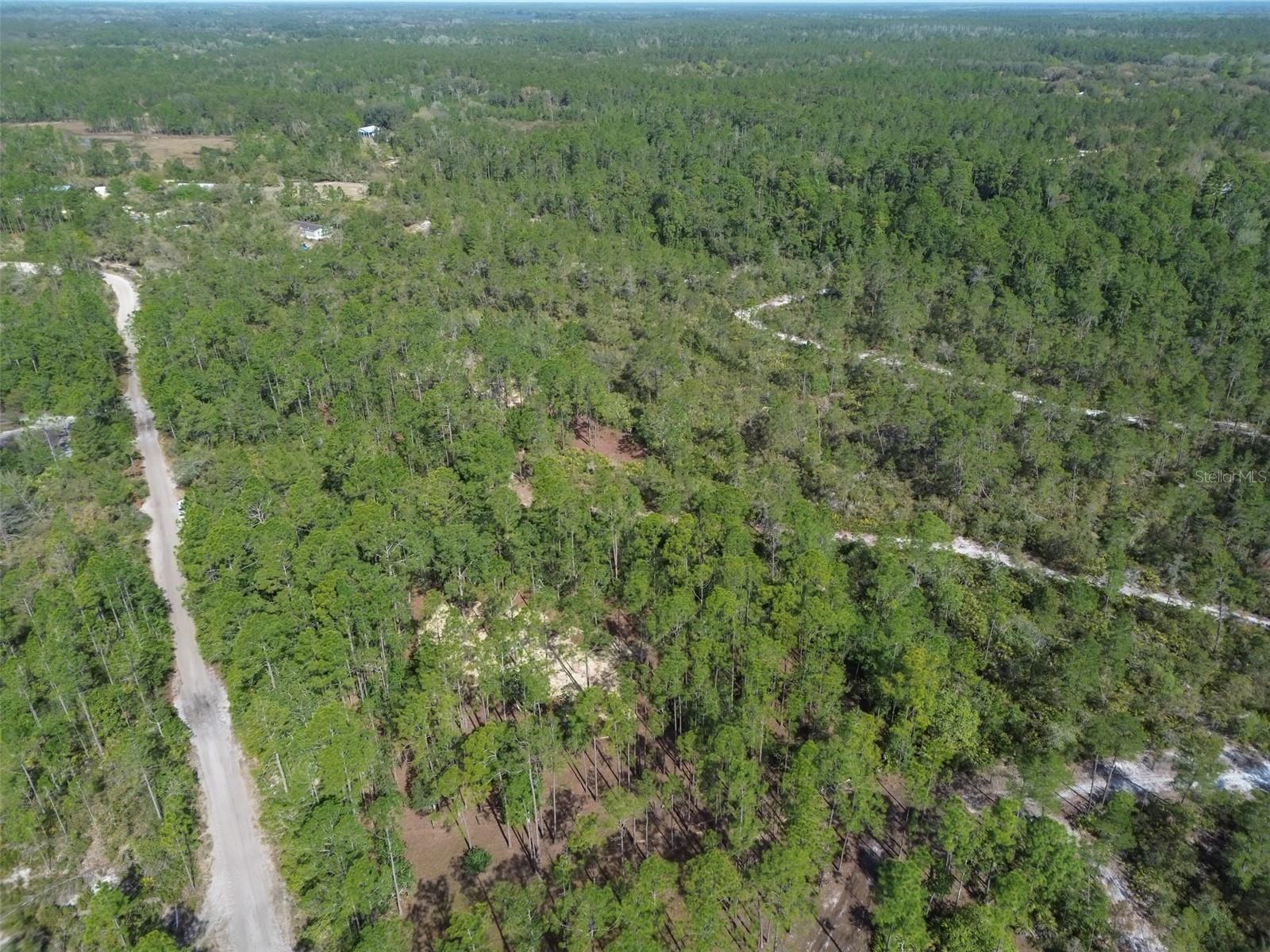 905 STILL RD, PIERSON, FL, 32180
