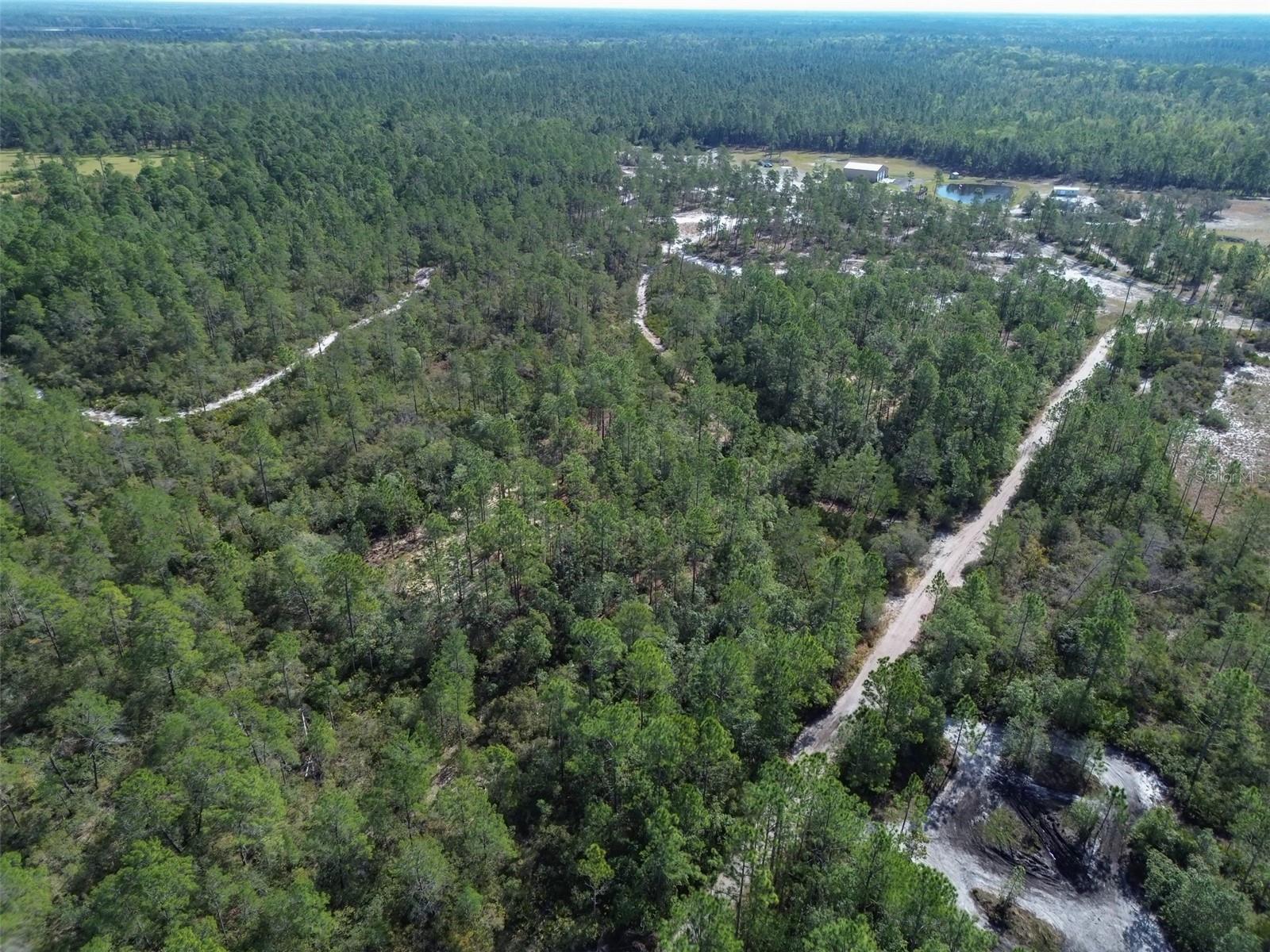 905 STILL RD, PIERSON, FL, 32180