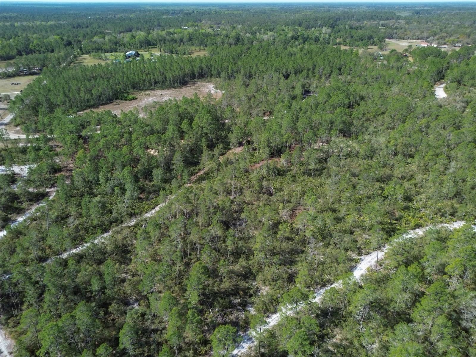 905 STILL RD, PIERSON, FL, 32180