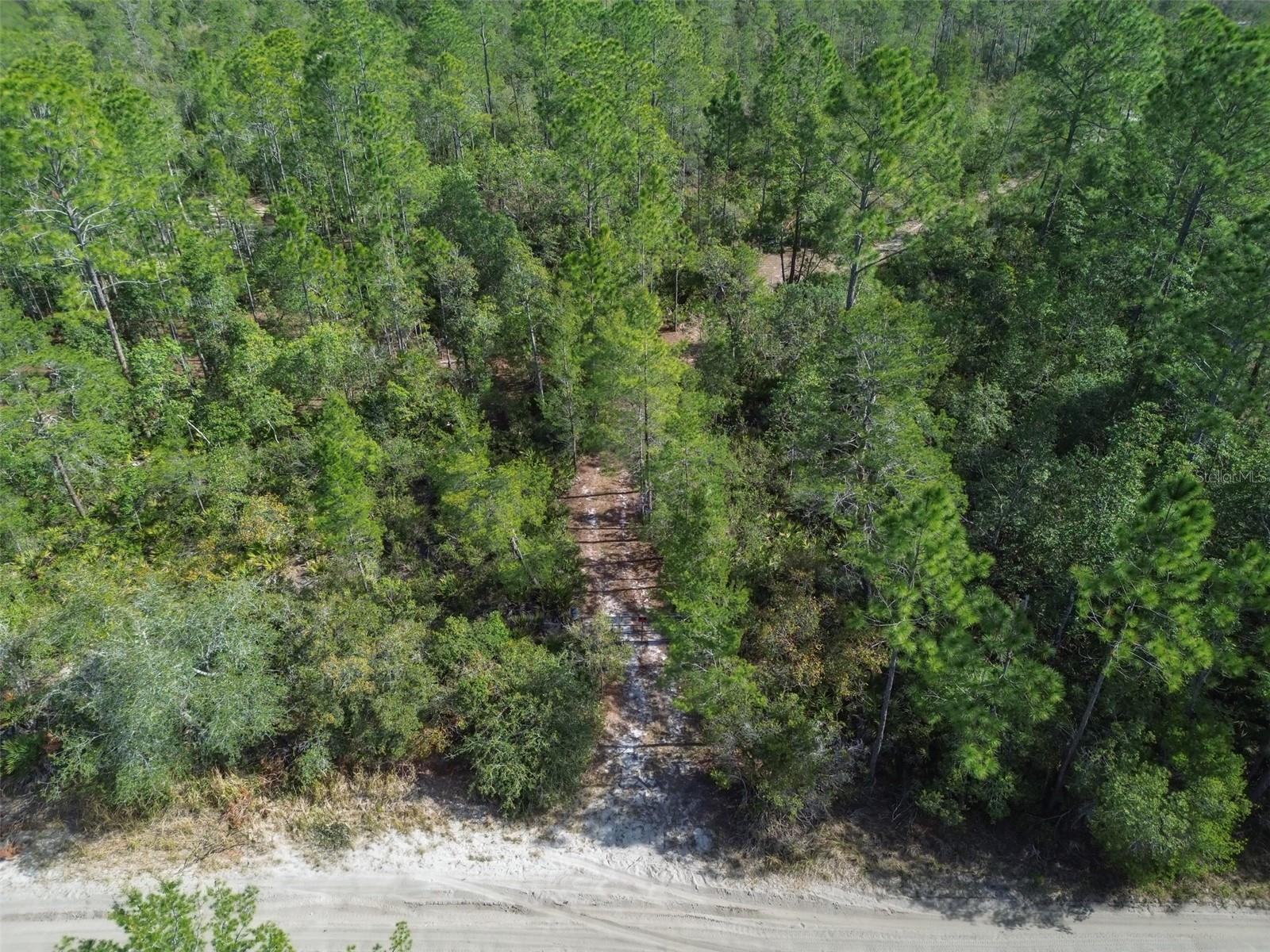 905 STILL RD, PIERSON, FL, 32180