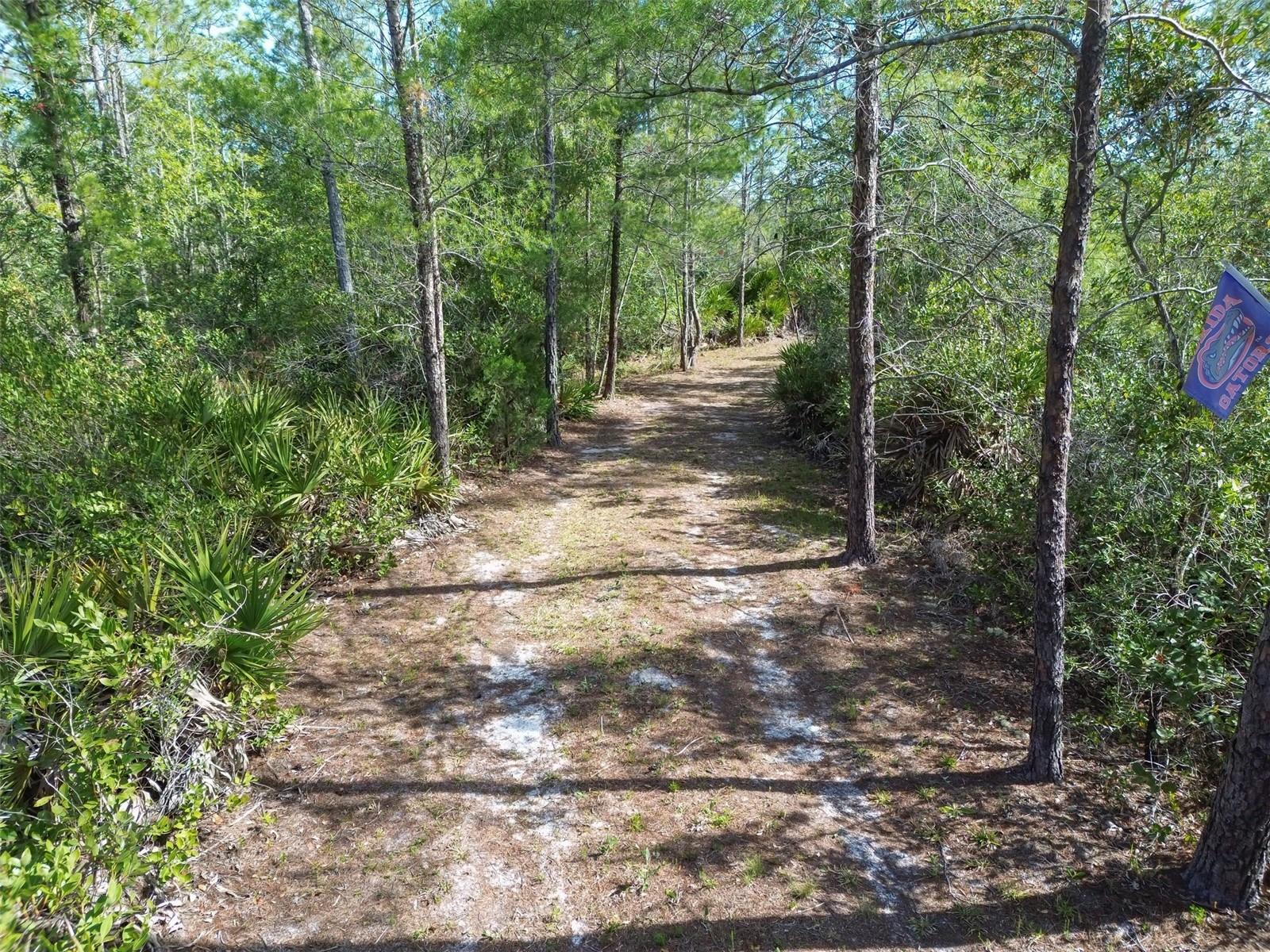 905 STILL RD, PIERSON, FL, 32180