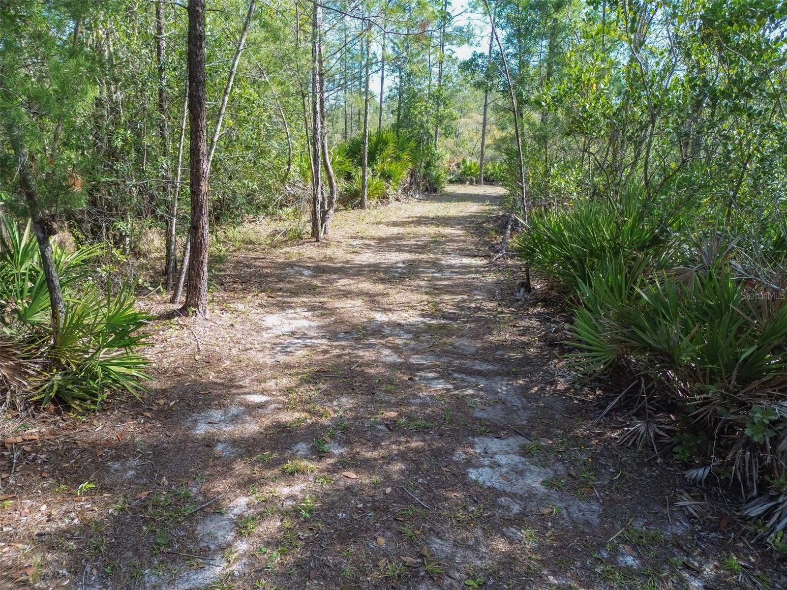 905 STILL RD, PIERSON, FL, 32180