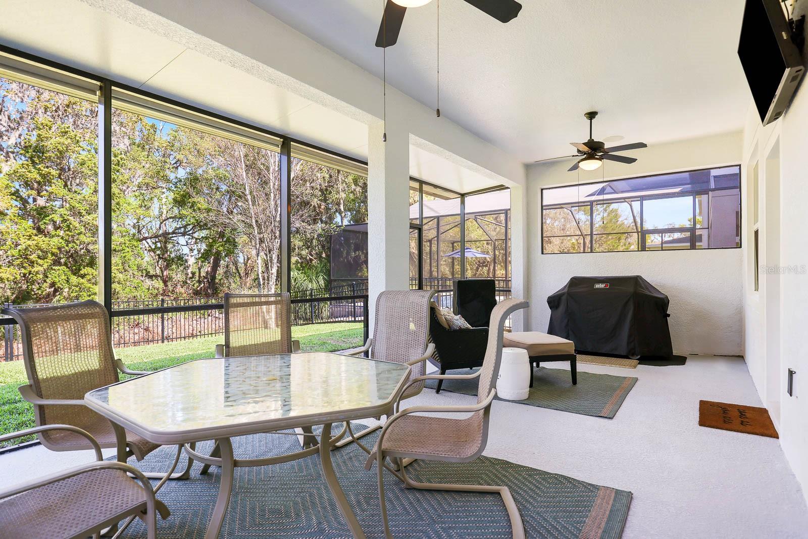 14241 NATURES RESERVE DR, LITHIA, FL, 33547