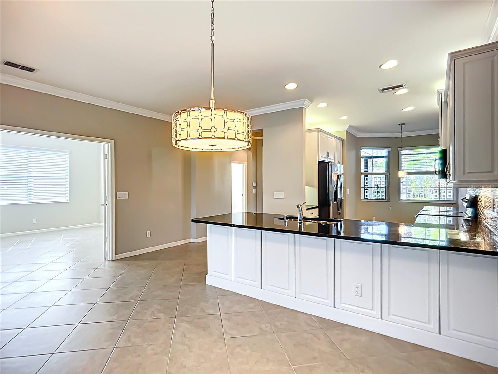 15646 AURORA LAKE CIR, WIMAUMA, FL, 33598