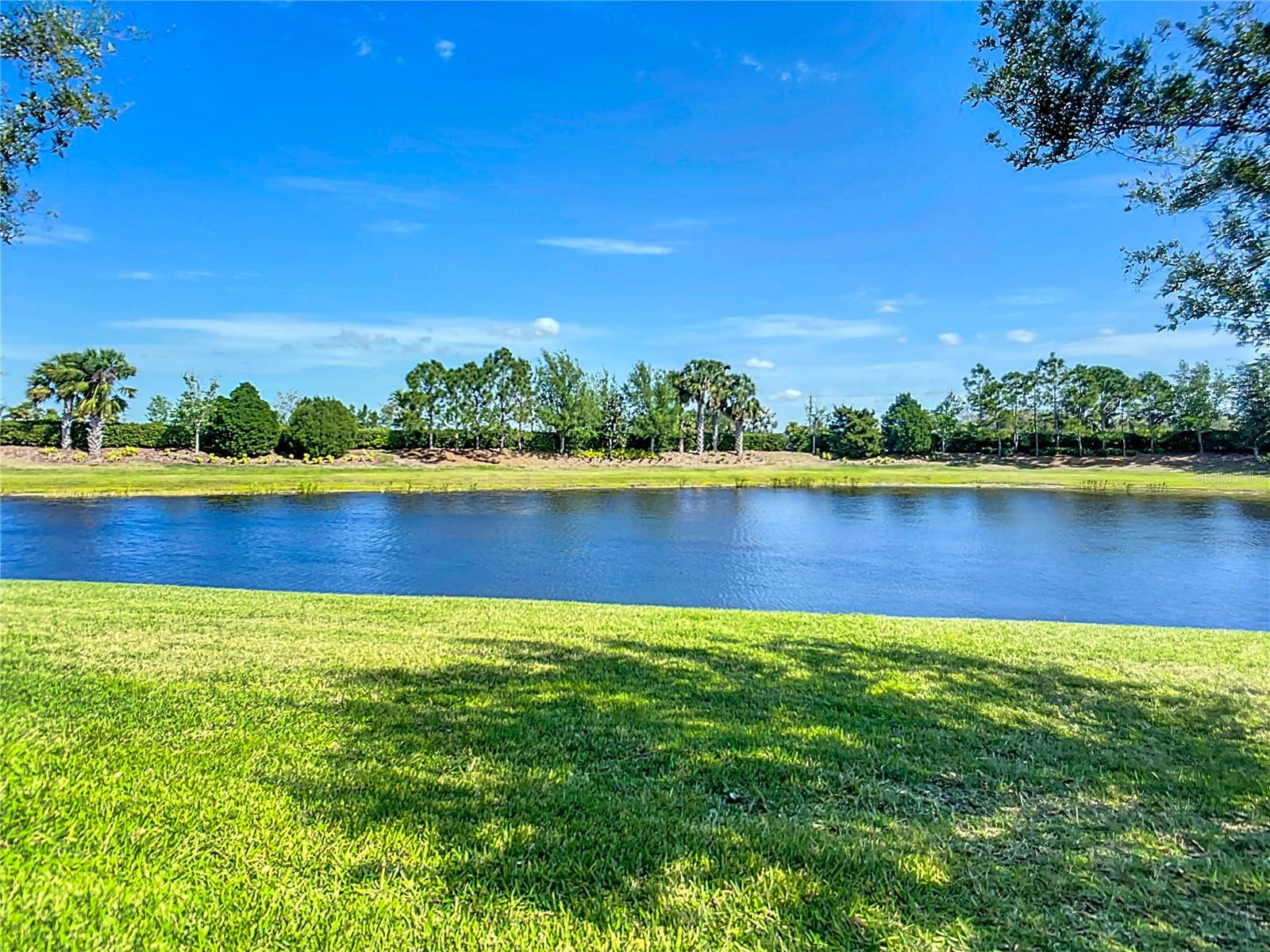 15646 AURORA LAKE CIR, WIMAUMA, FL, 33598