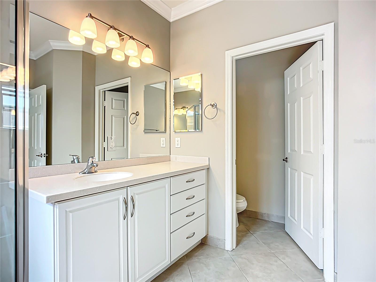 15646 AURORA LAKE CIR, WIMAUMA, FL, 33598