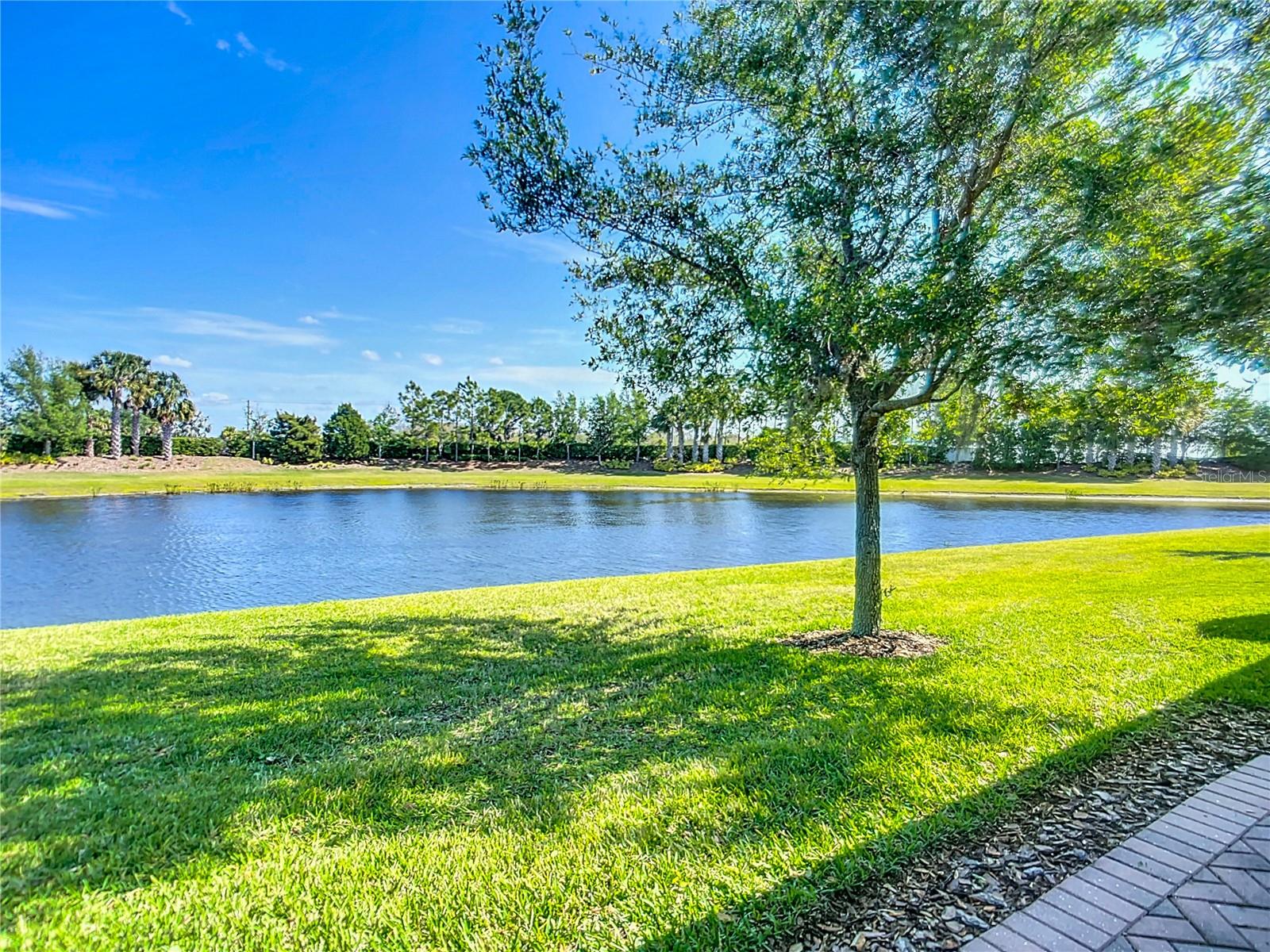 15646 AURORA LAKE CIR, WIMAUMA, FL, 33598