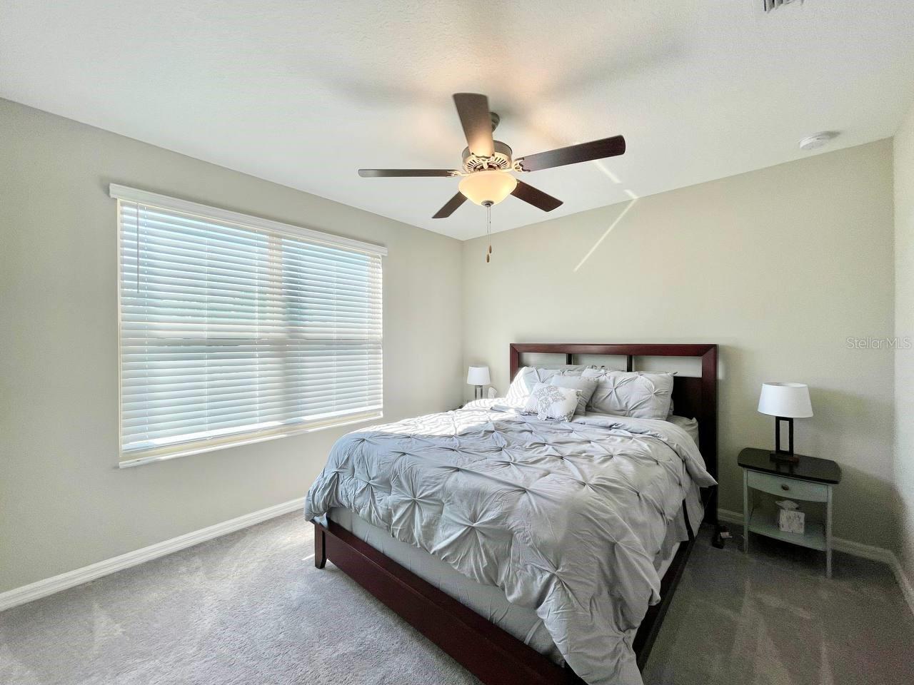 4901 WILD SENNA BLVD, TAMPA, FL, 33619