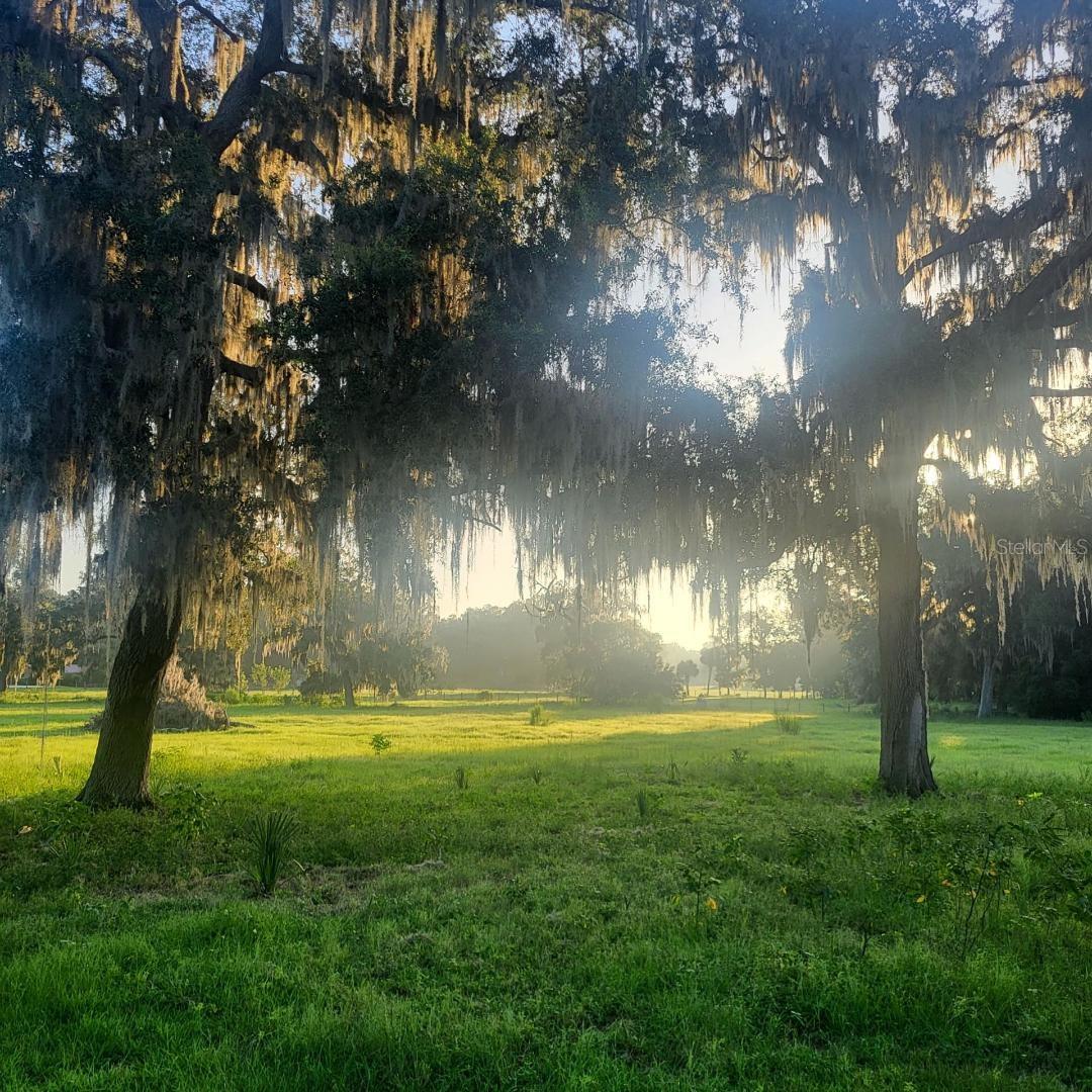 3530 NE 132ND PL, ANTHONY, FL, 32617