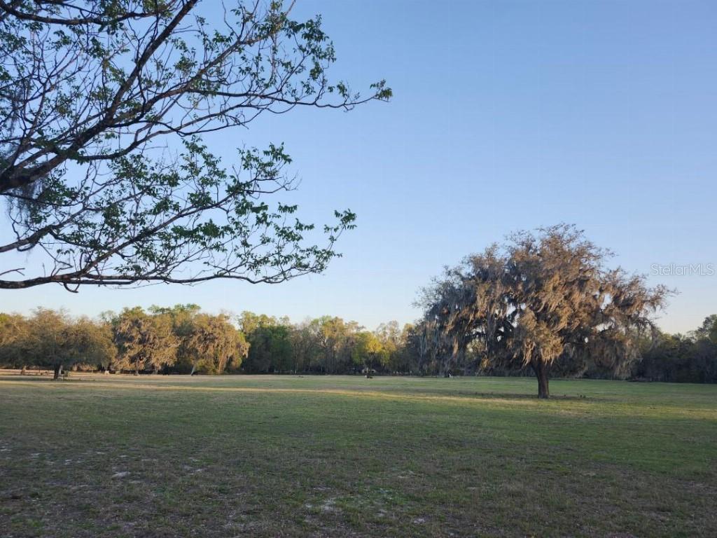 3530 NE 132ND PL, ANTHONY, FL, 32617