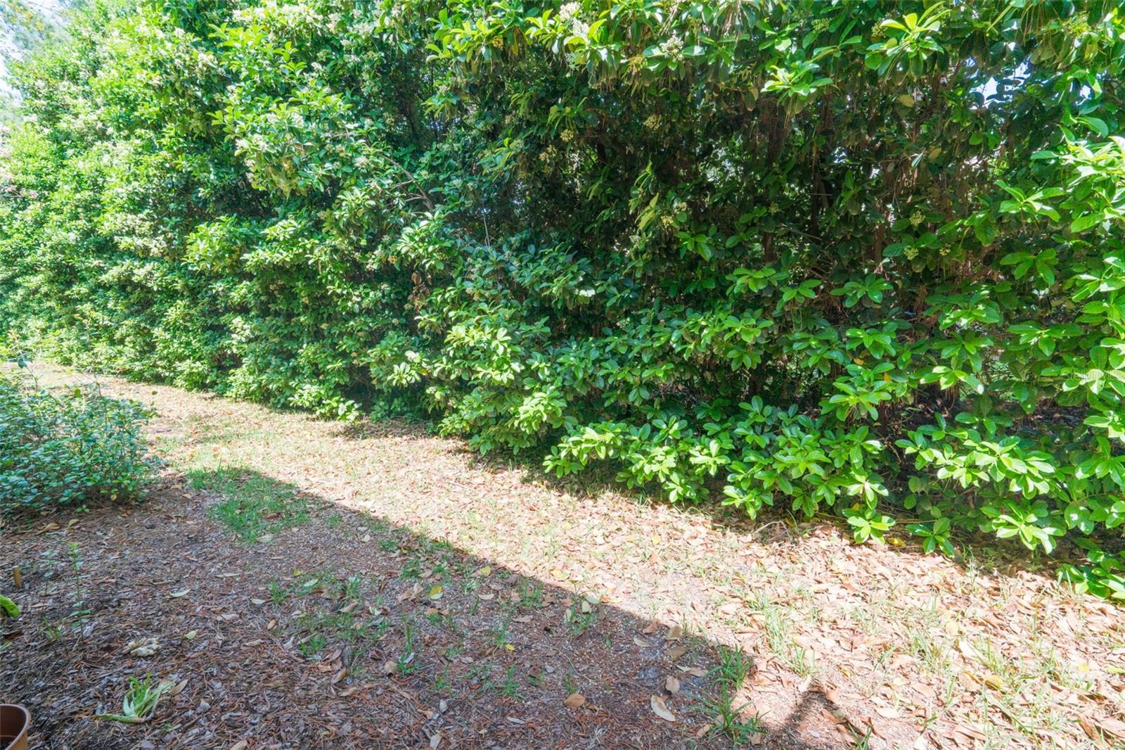 11075 CASTLEMAIN CIR E, JACKSONVILLE, FL, 32256
