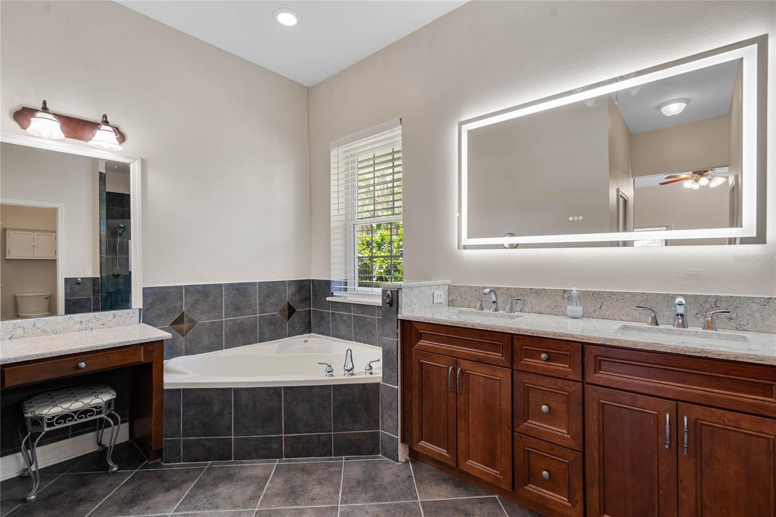 4240 LAKE HARNEY CIR, GENEVA, FL, 32732