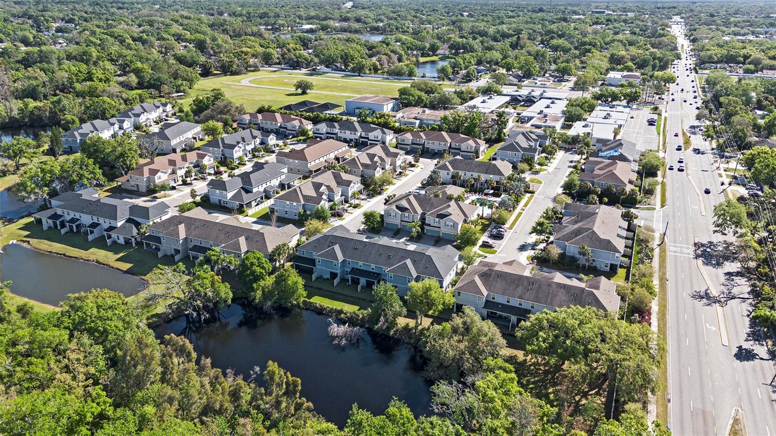 1110 ROSE BLOSSOM CT, TAMPA, FL, 33613