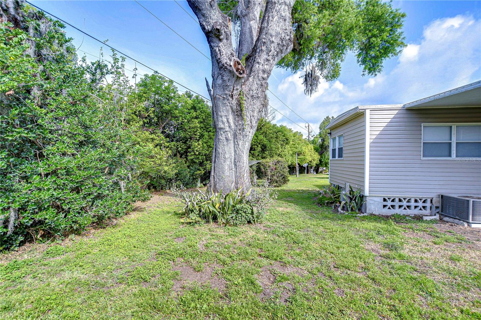 6025 RIDGEWOOD DR, ZEPHYRHILLS, FL, 33542