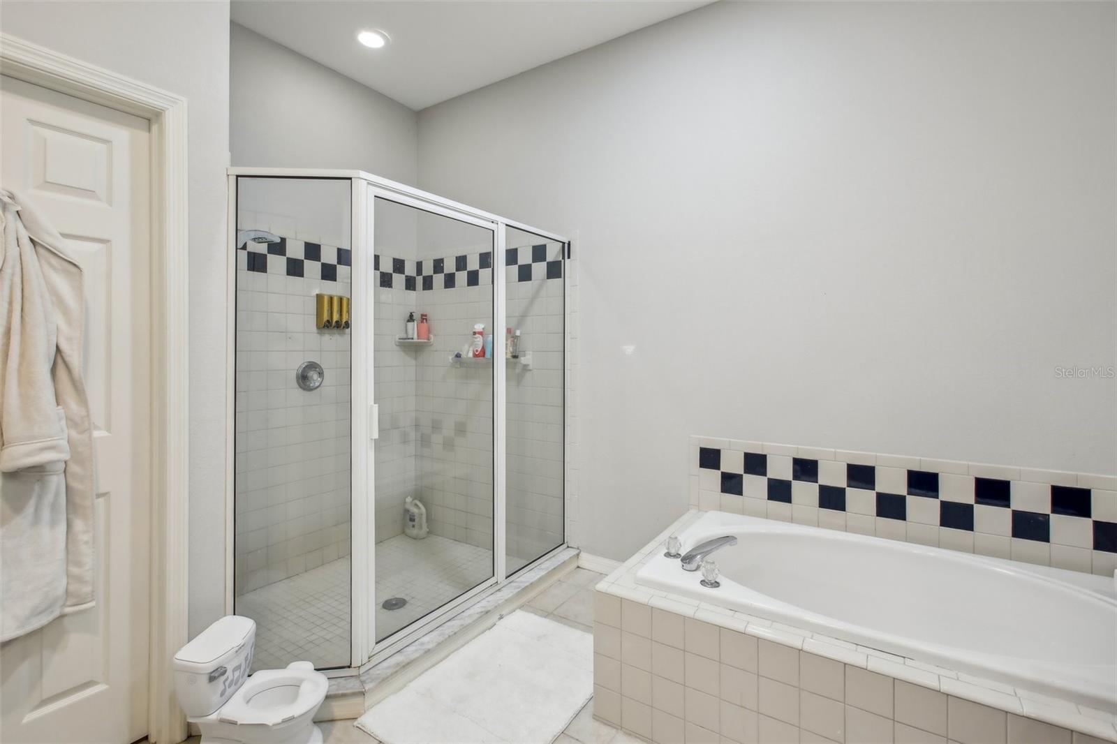 16125 CRAIGEND PL, ODESSA, FL, 33556
