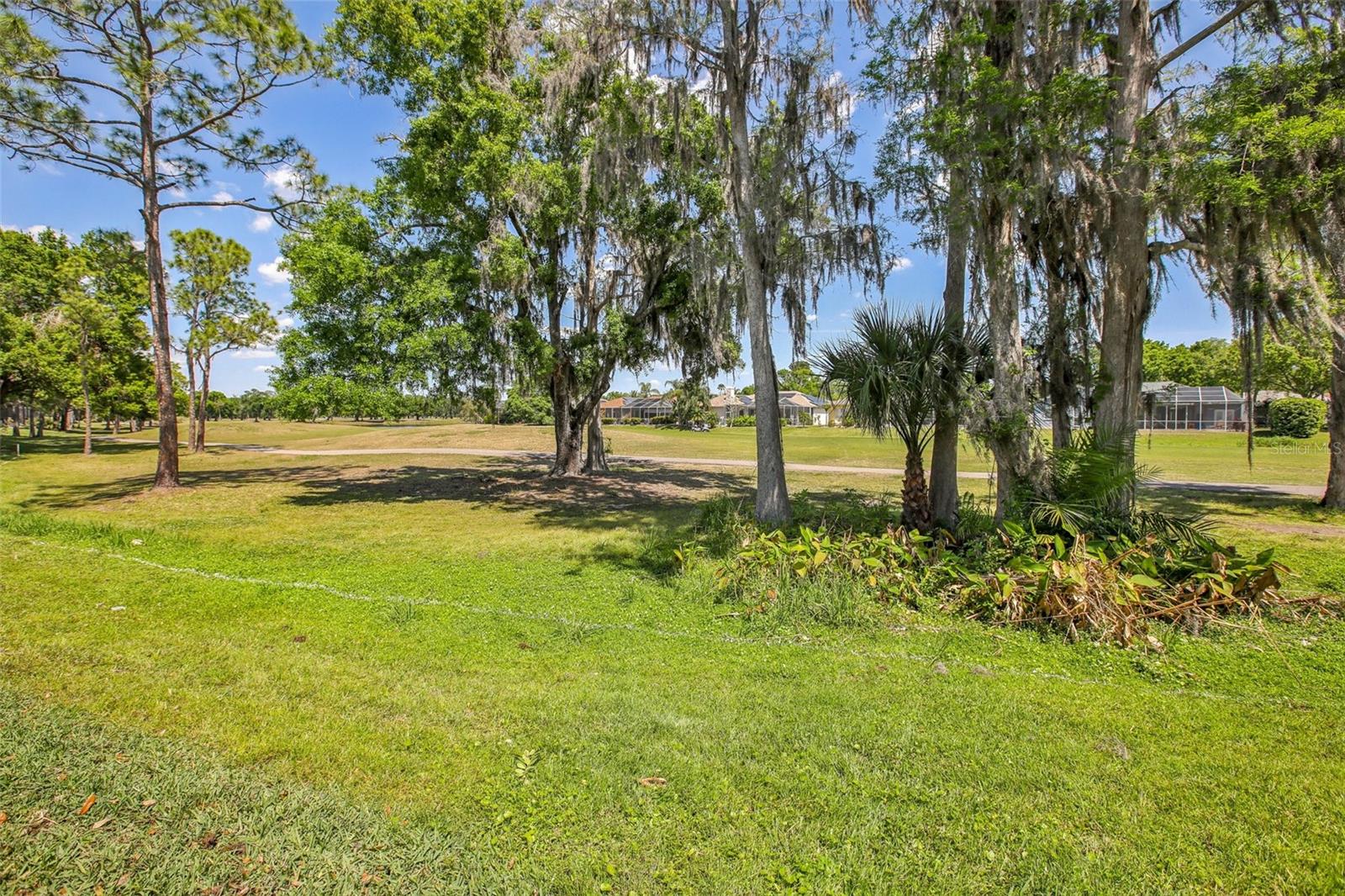 16125 CRAIGEND PL, ODESSA, FL, 33556