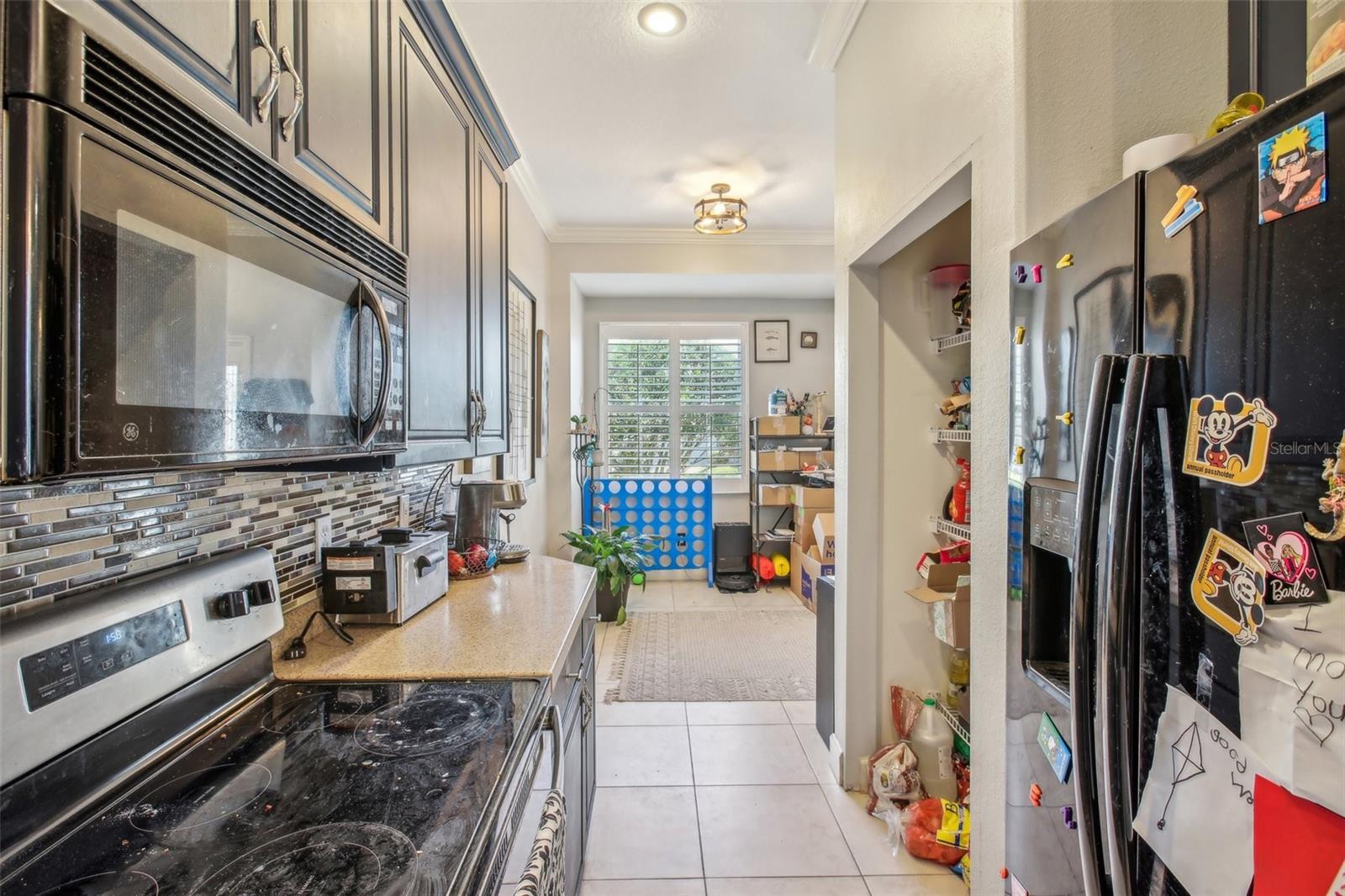 16125 CRAIGEND PL, ODESSA, FL, 33556