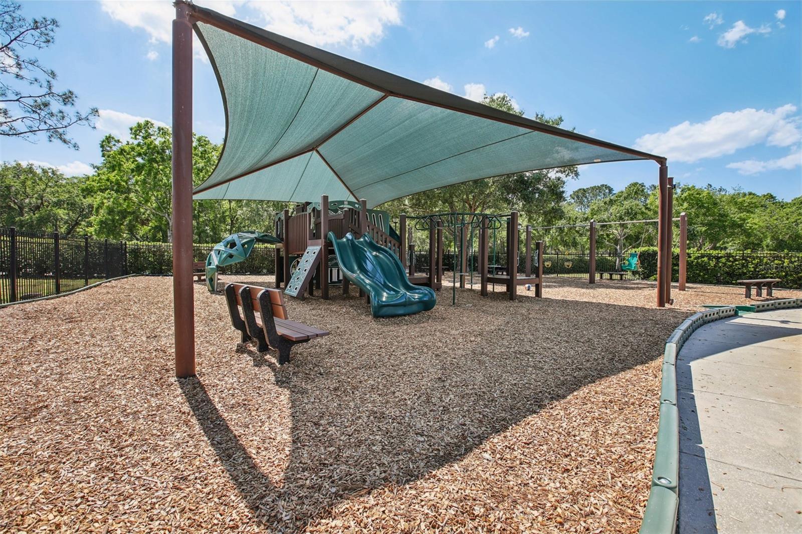 16125 CRAIGEND PL, ODESSA, FL, 33556