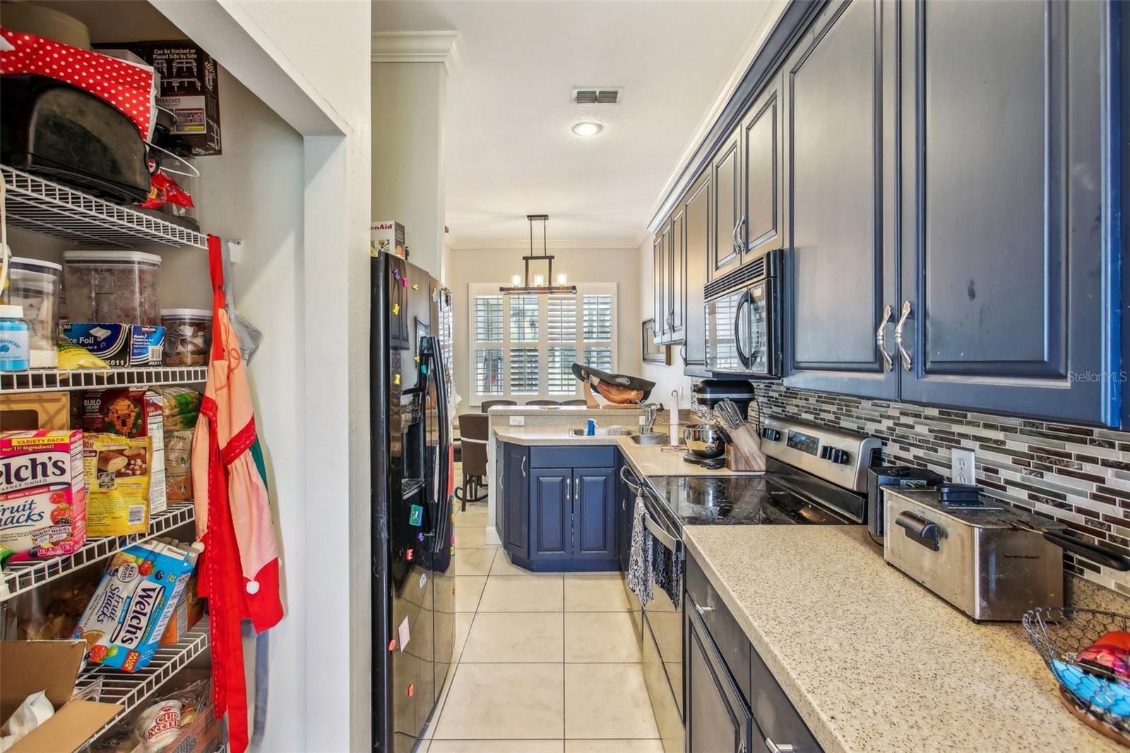 16125 CRAIGEND PL, ODESSA, FL, 33556