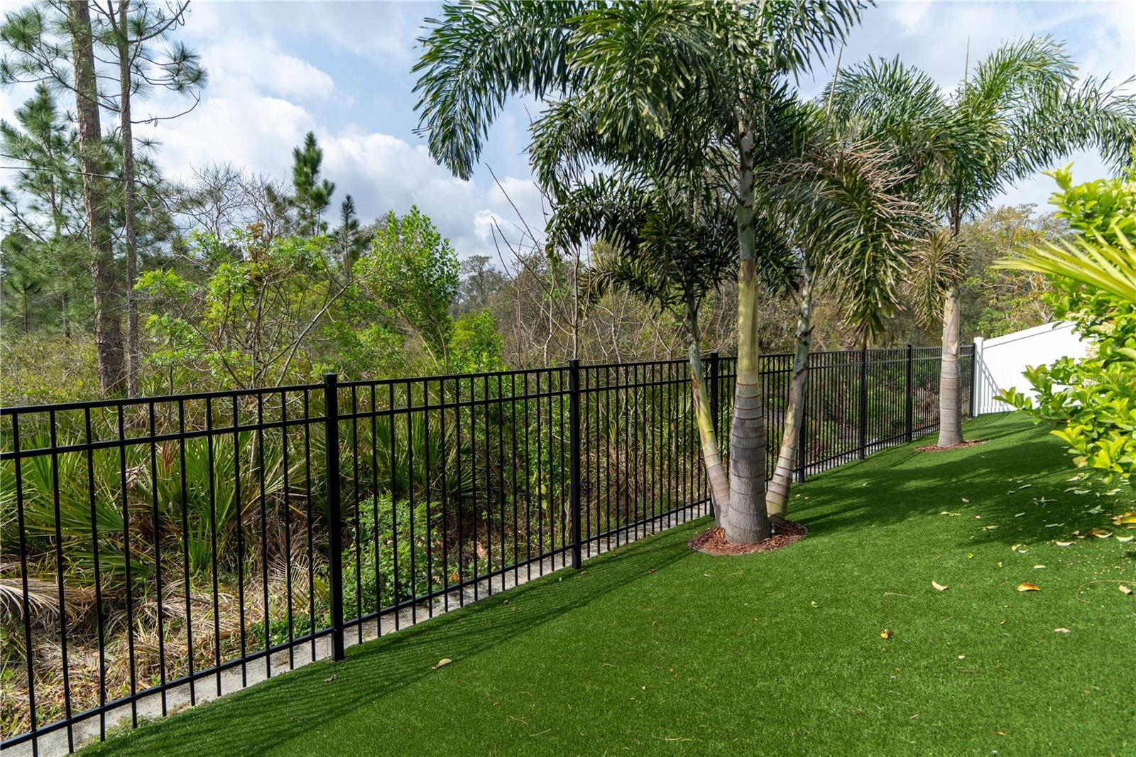 15313 LEBEAU LOOP, WINTER GARDEN, FL, 34787