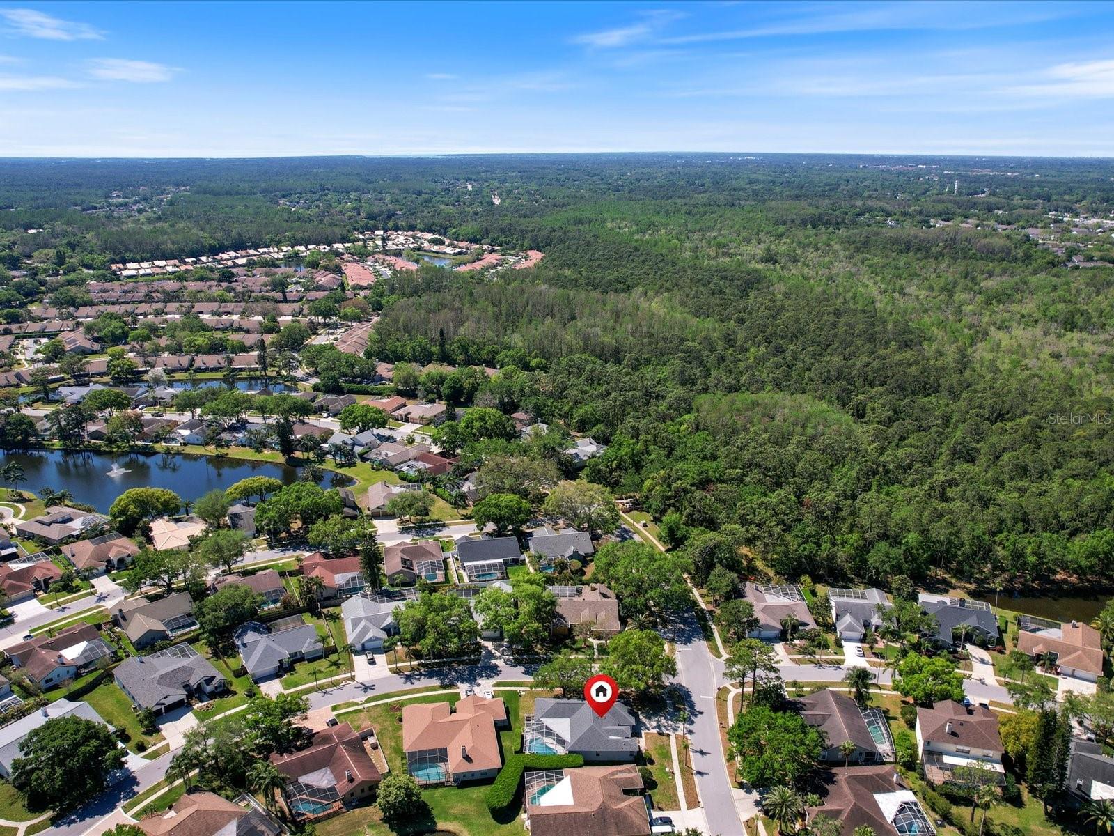 4301 RIDGEMOOR DR N, PALM HARBOR, FL, 34685