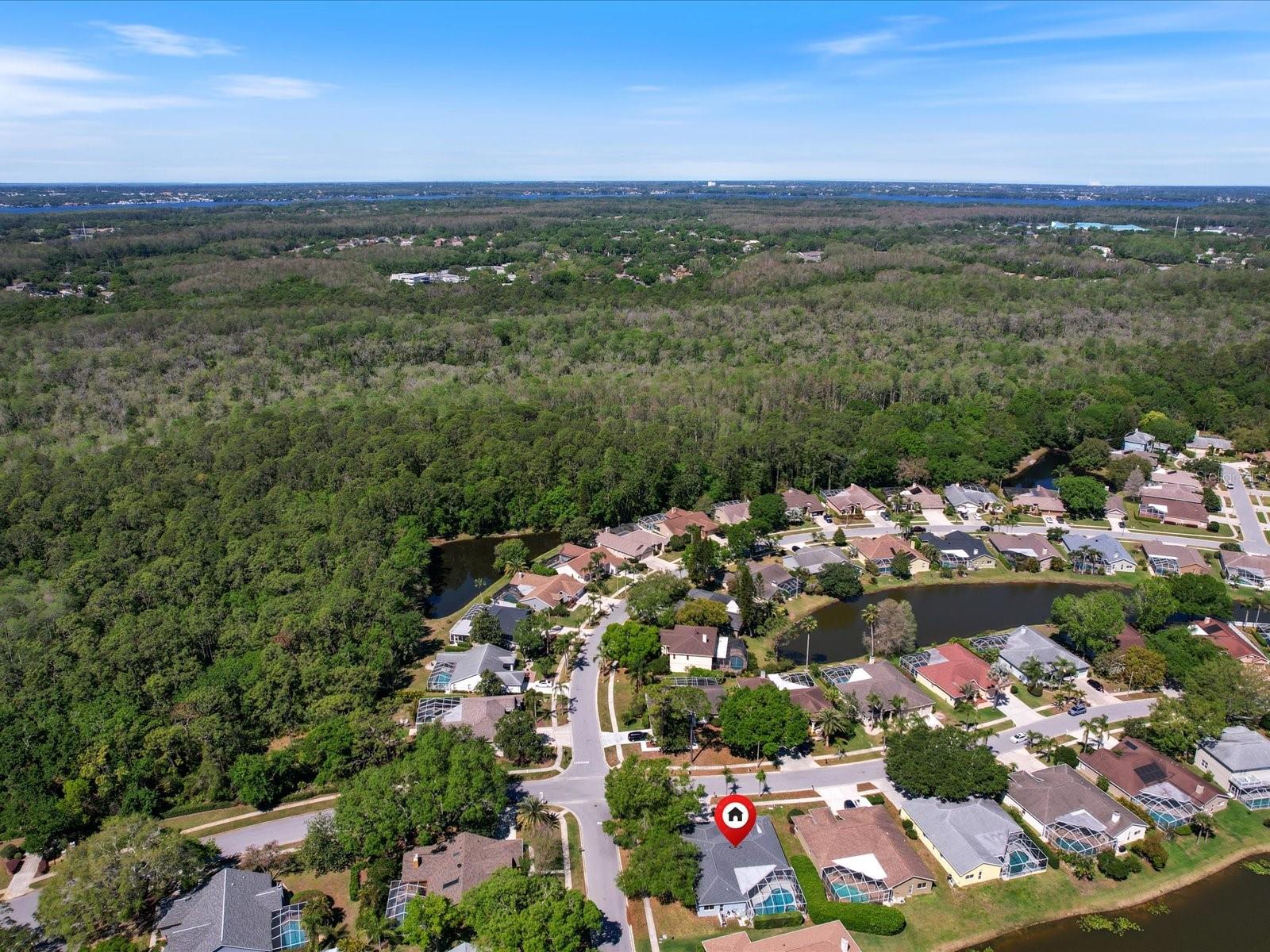 4301 RIDGEMOOR DR N, PALM HARBOR, FL, 34685