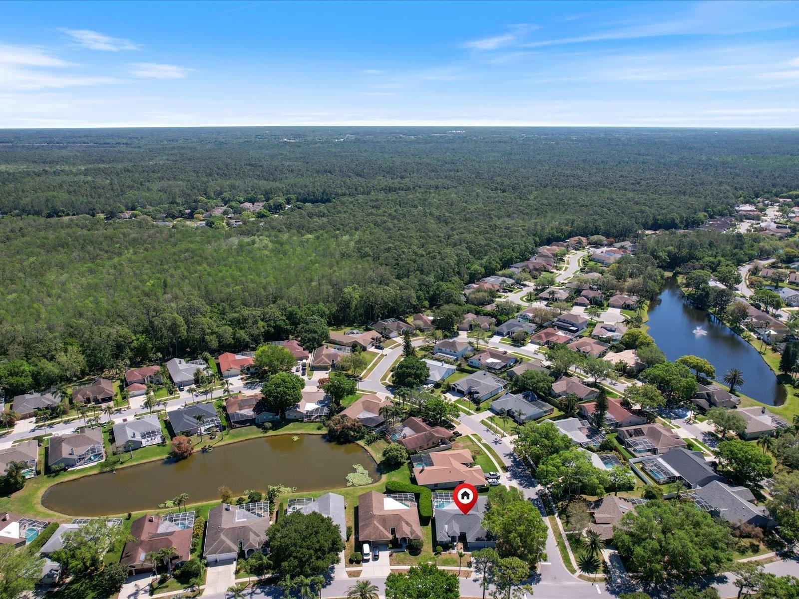 4301 RIDGEMOOR DR N, PALM HARBOR, FL, 34685