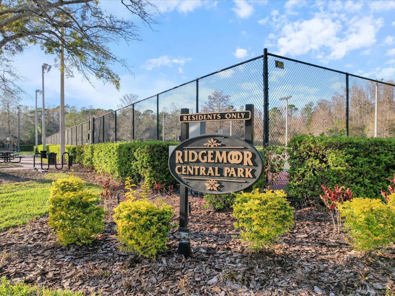 4301 RIDGEMOOR DR N, PALM HARBOR, FL, 34685