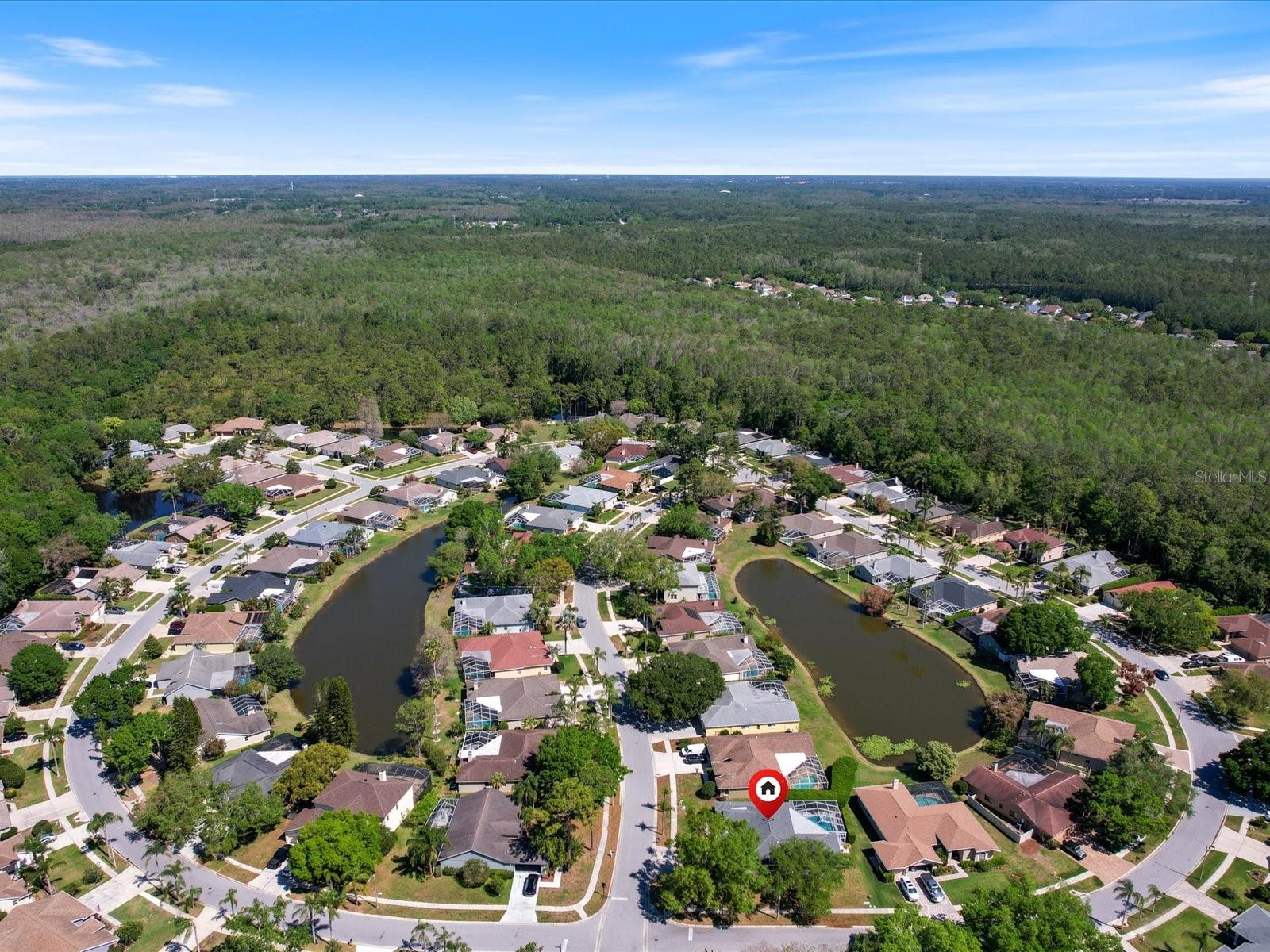 4301 RIDGEMOOR DR N, PALM HARBOR, FL, 34685