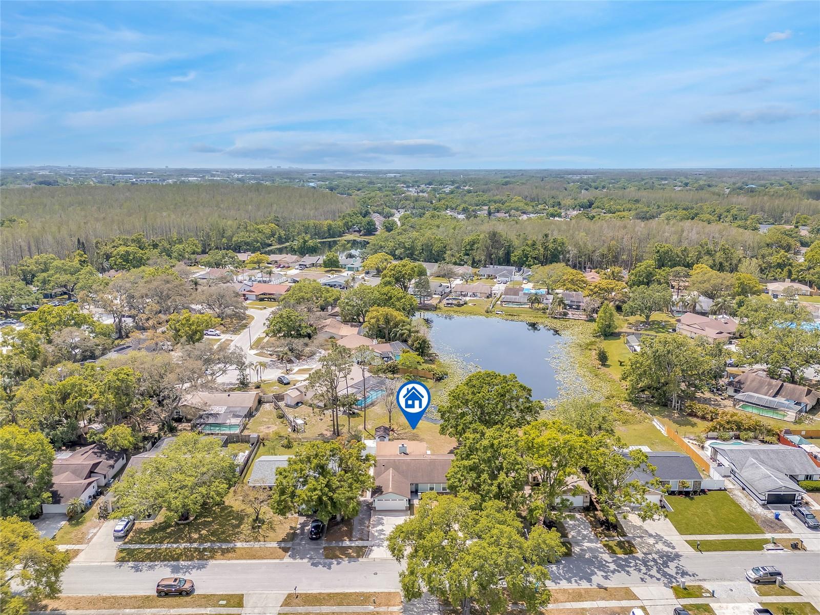 5317 BLACK PINE DR, TAMPA, FL, 33624