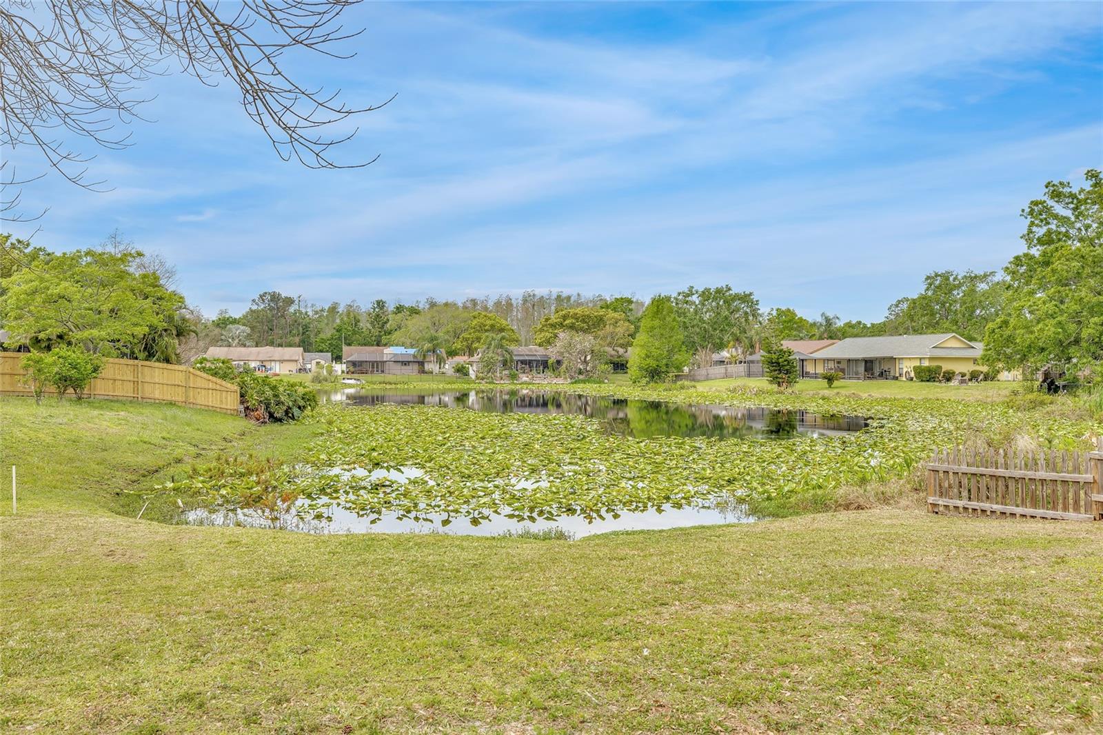 5317 BLACK PINE DR, TAMPA, FL, 33624